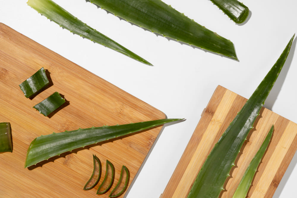 Aloe vera benefits